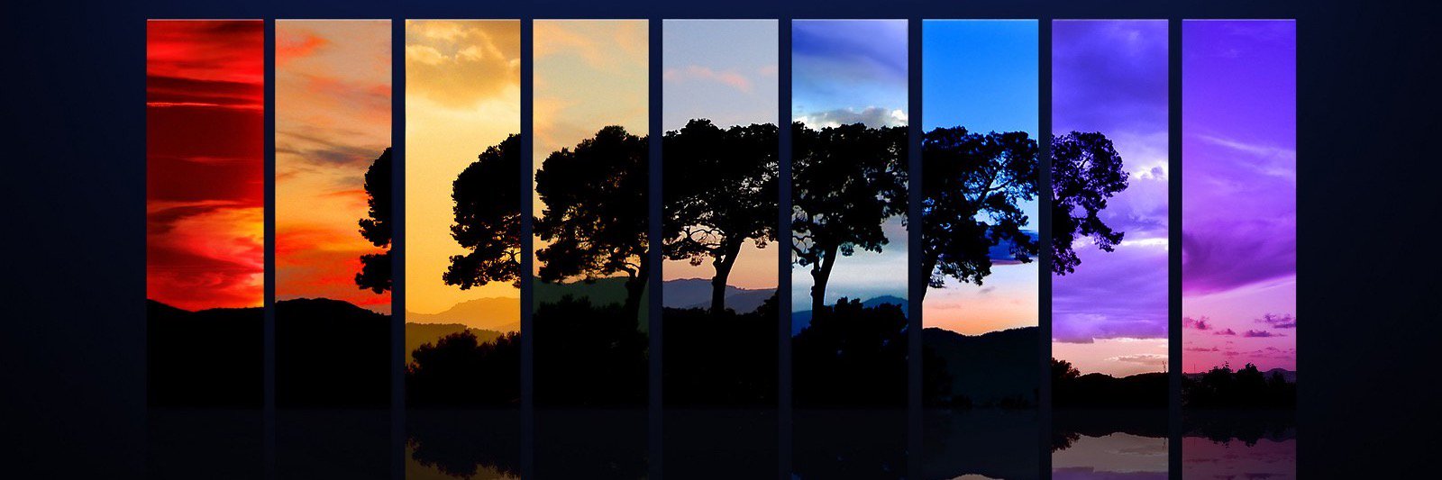 GGalimberti1's profile banner image
