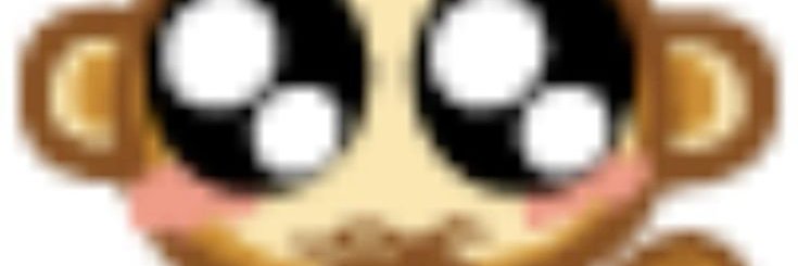 miko 🦭's banner