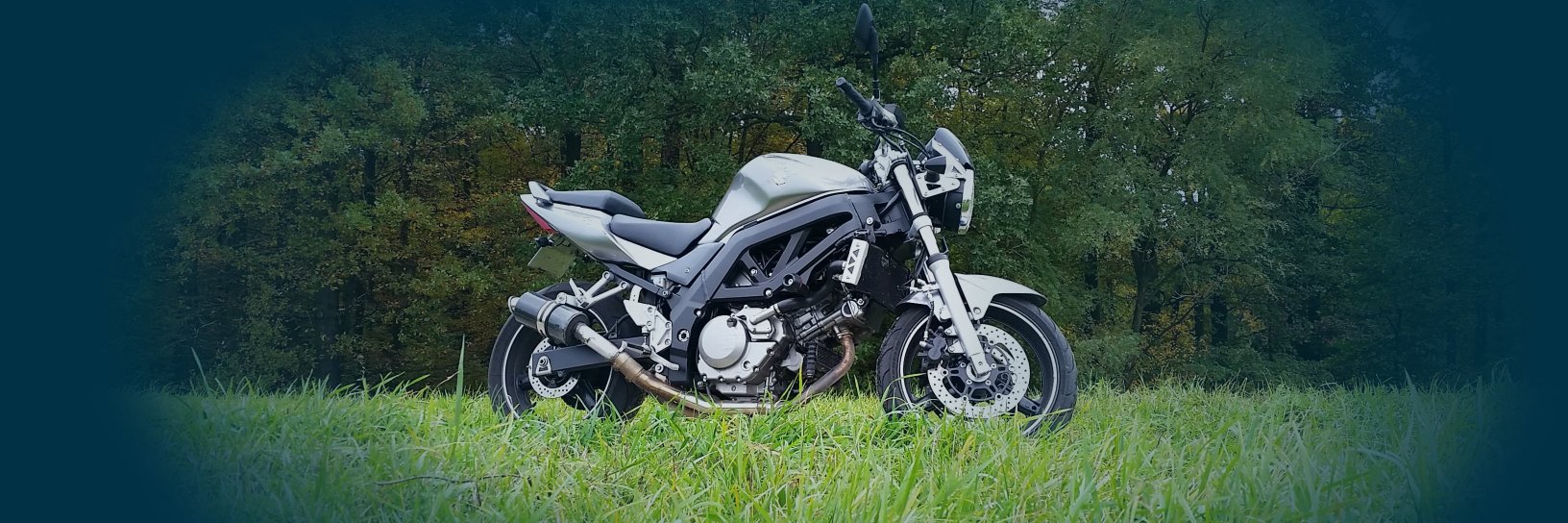 Janusz Janczy banner