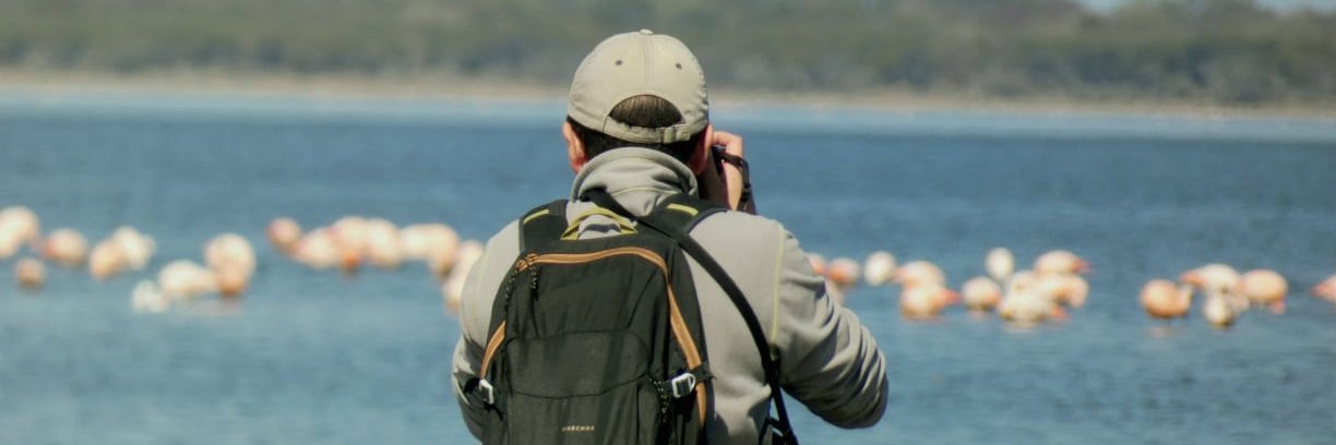 d4npa's profile banner image