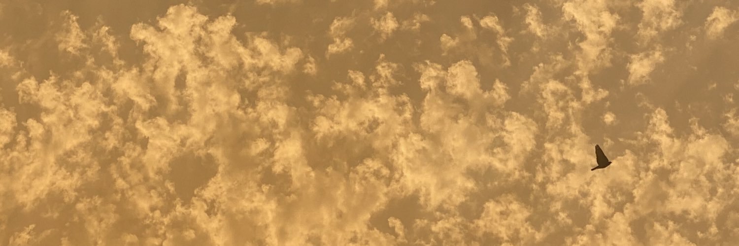 mariom_017's profile banner image