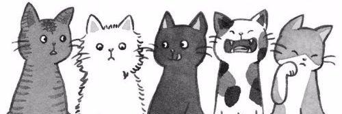 TawMiranda7's profile banner image