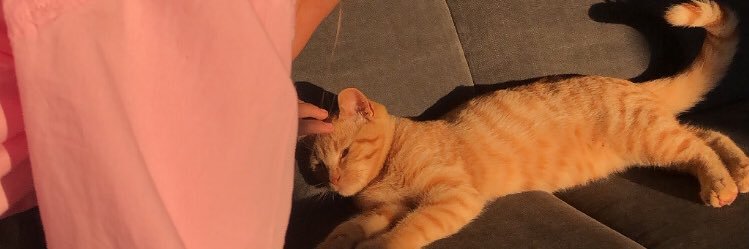 louiselprce's profile banner image