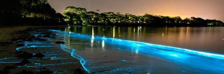 Anthony🇺🇸🇺🇸🇺🇸🇺🇸🇺🇸 banner