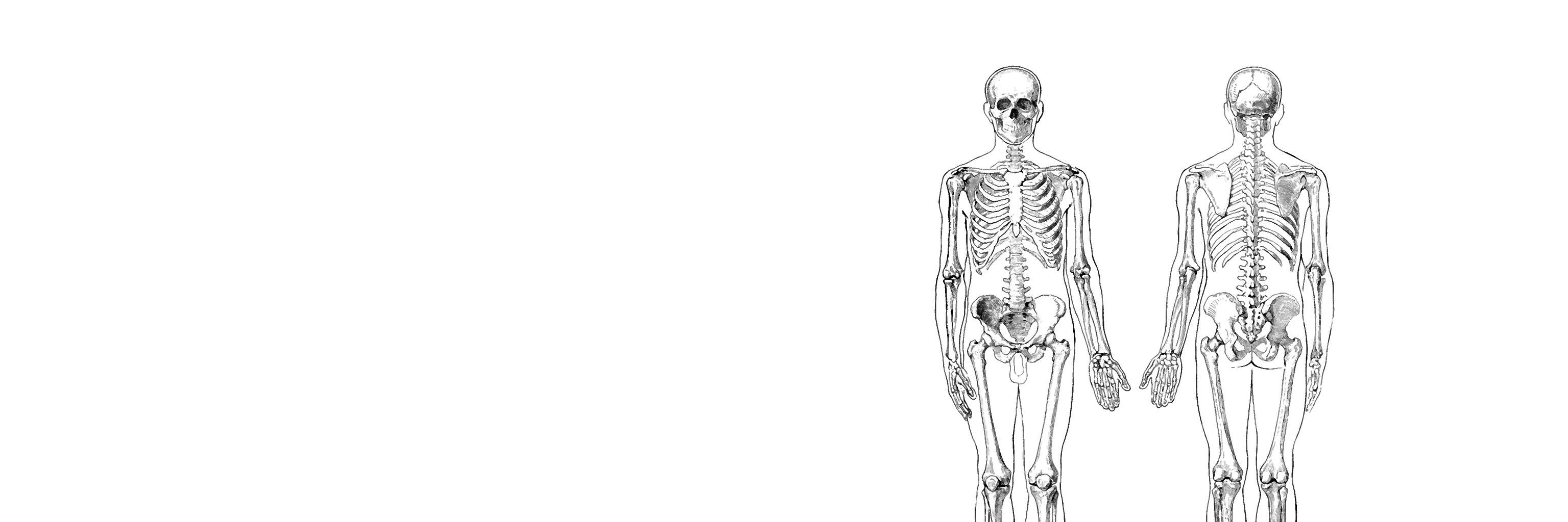 RosaMariaGiorgi's profile banner image