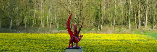 PoppyWales Profile Banner