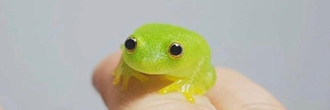 youarenotreal29's profile banner image