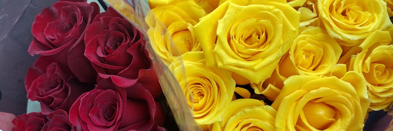 StylishBeautyB's profile banner image