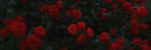 Meliialvarez_'s profile banner image