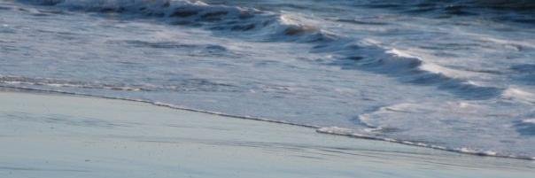 keddieh's profile banner image