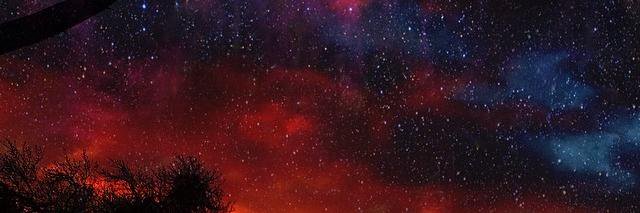 snow_puma's profile banner image