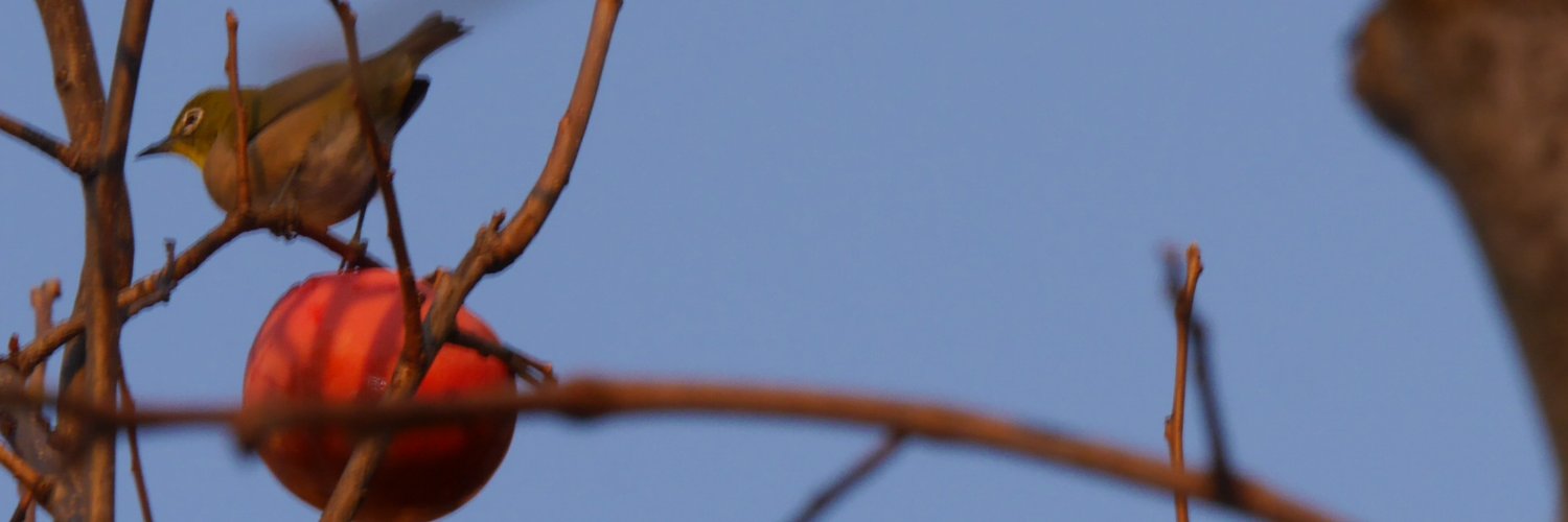 ponsack's profile banner image