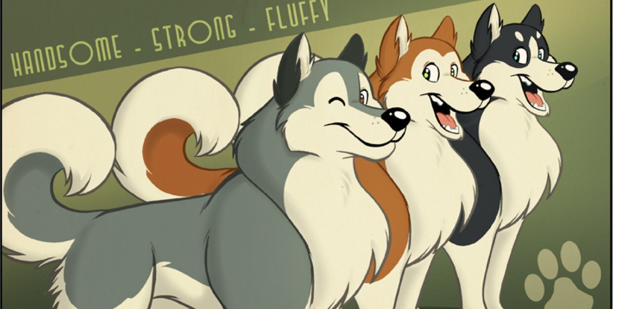 bob40073's profile banner image