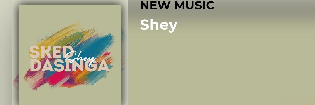 skedOfficial's profile banner image
