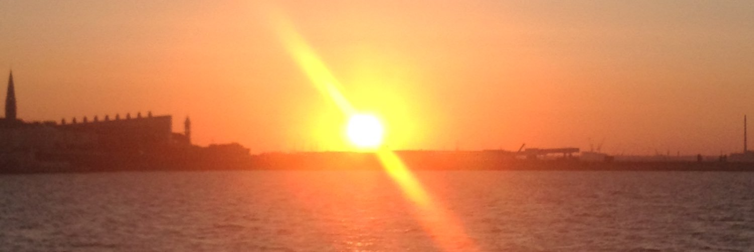 sueconroyo9's profile banner image