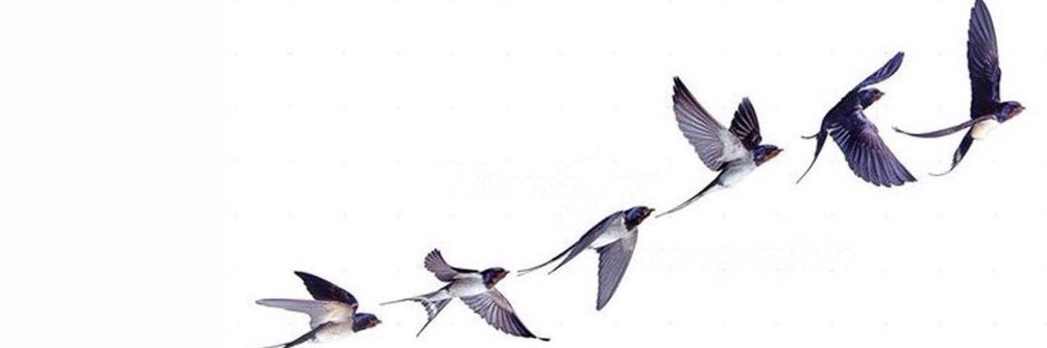 ahdabhendi's profile banner image