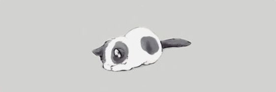 CatsVoided's profile banner image