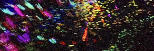 lihanlihan Profile Banner