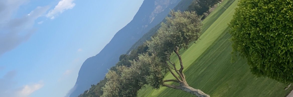MrQuitto's profile banner image
