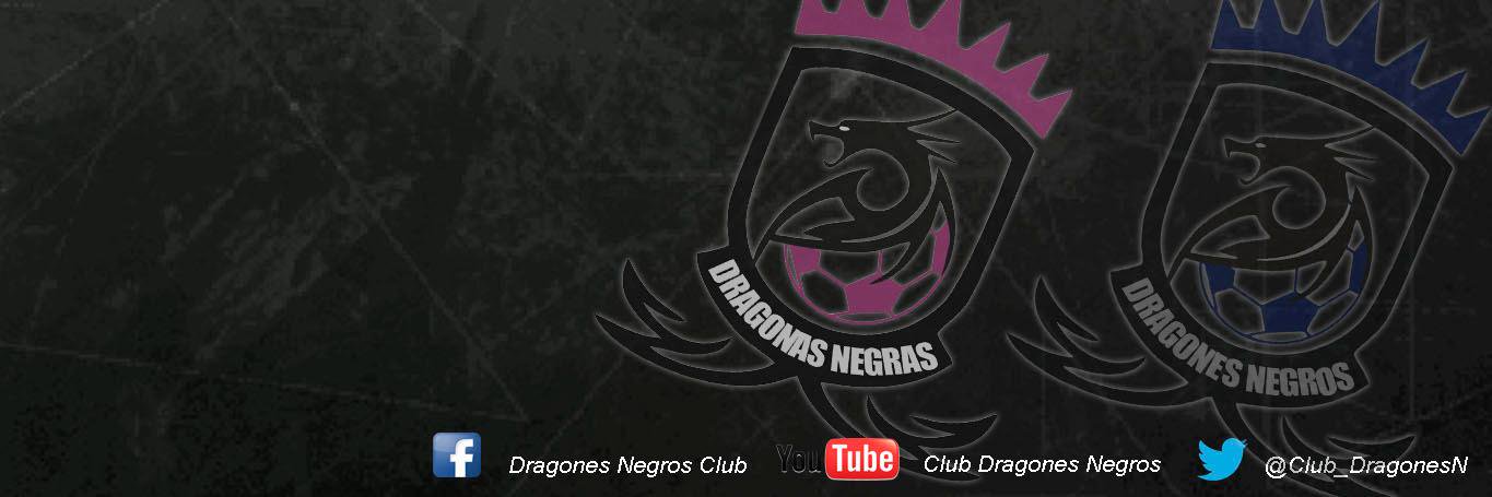 Club_DragonesN's profile banner image