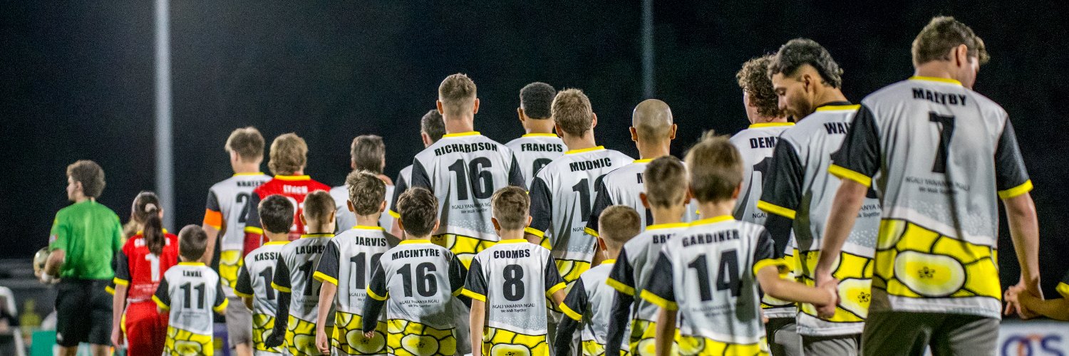 Wynnum Wolves FC banner