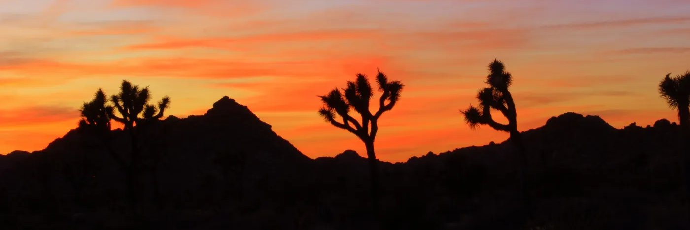 DareYouToRun's profile banner image