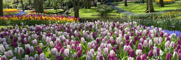 ZaraKesterton Profile Banner