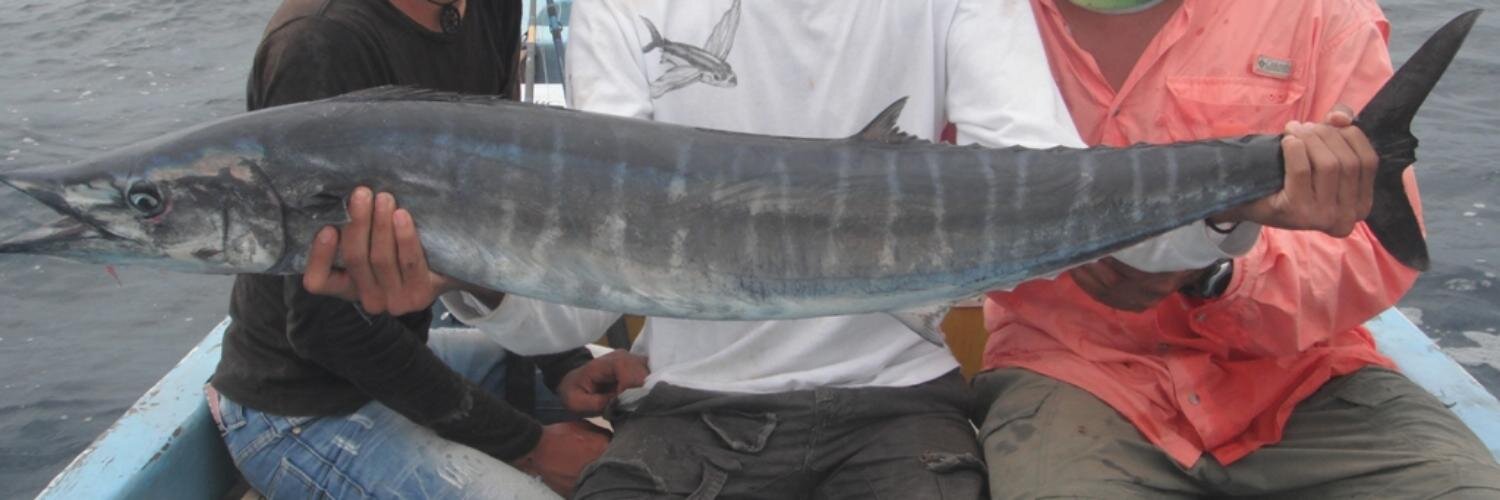 ivanpanama's profile banner image