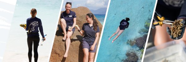 WiseOceans Profile Banner