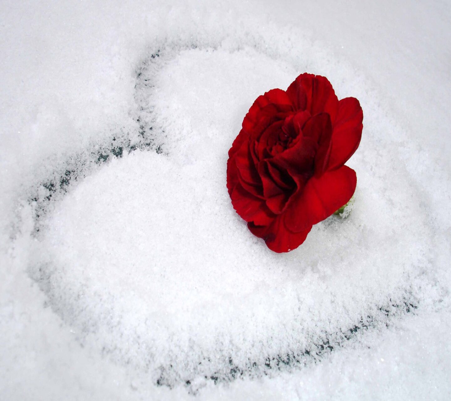 faten_fm's profile banner image