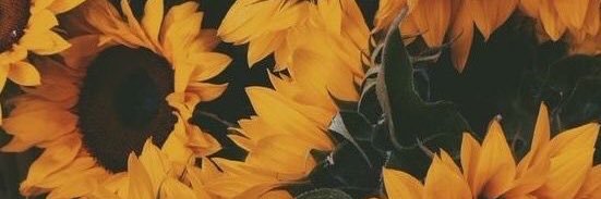 theOGzxch's profile banner image