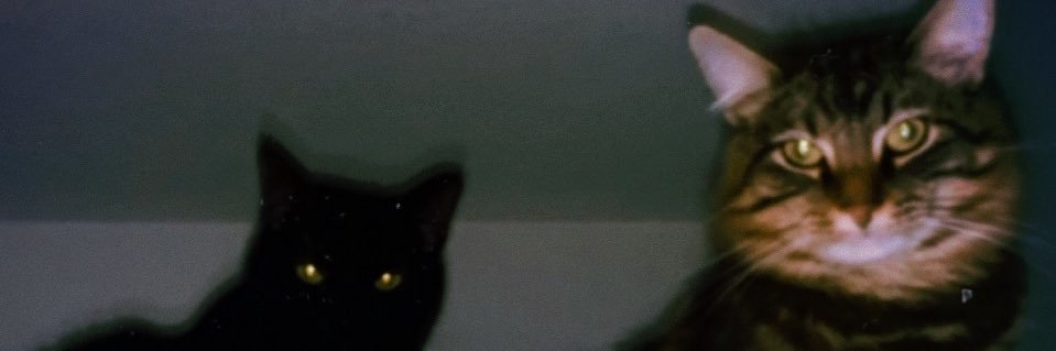 Phoebebelle_'s profile banner image