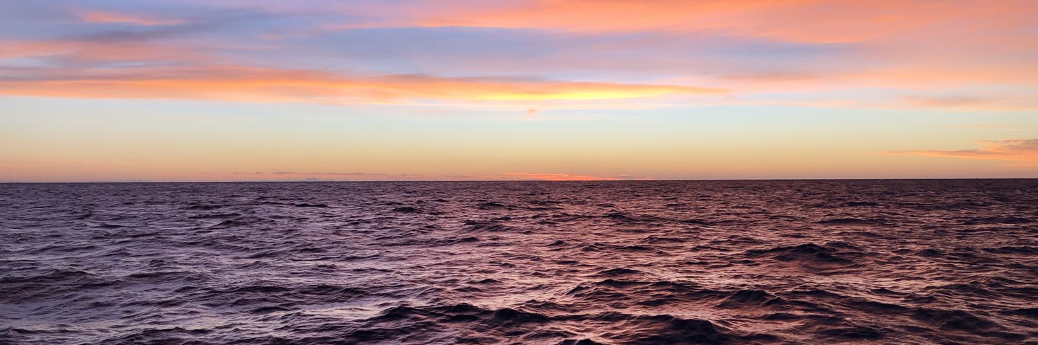 WaveLife's profile banner image