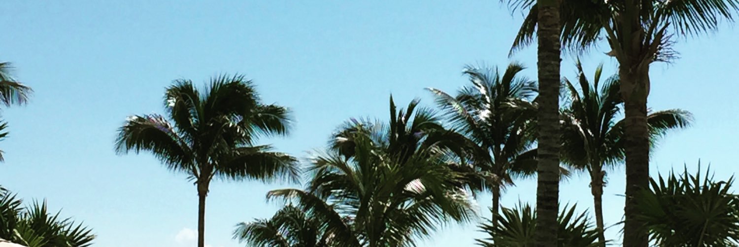 toriapyke's profile banner image
