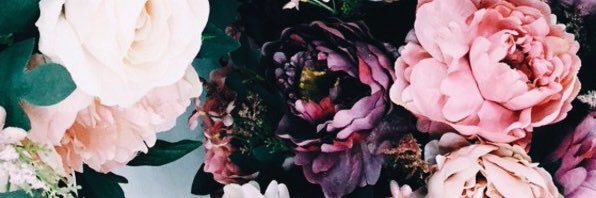 brianadiane's profile banner image