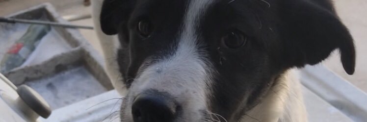 TonyAHS's profile banner image