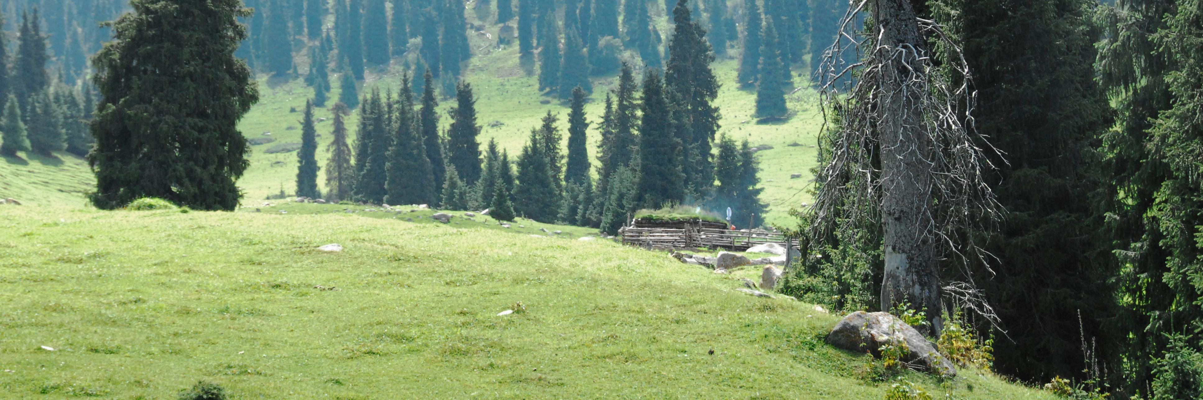 CullenSilvan's profile banner image