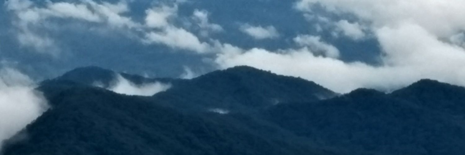 rxsheehy's profile banner image