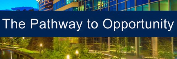 The Woodlands Area Chamber banner