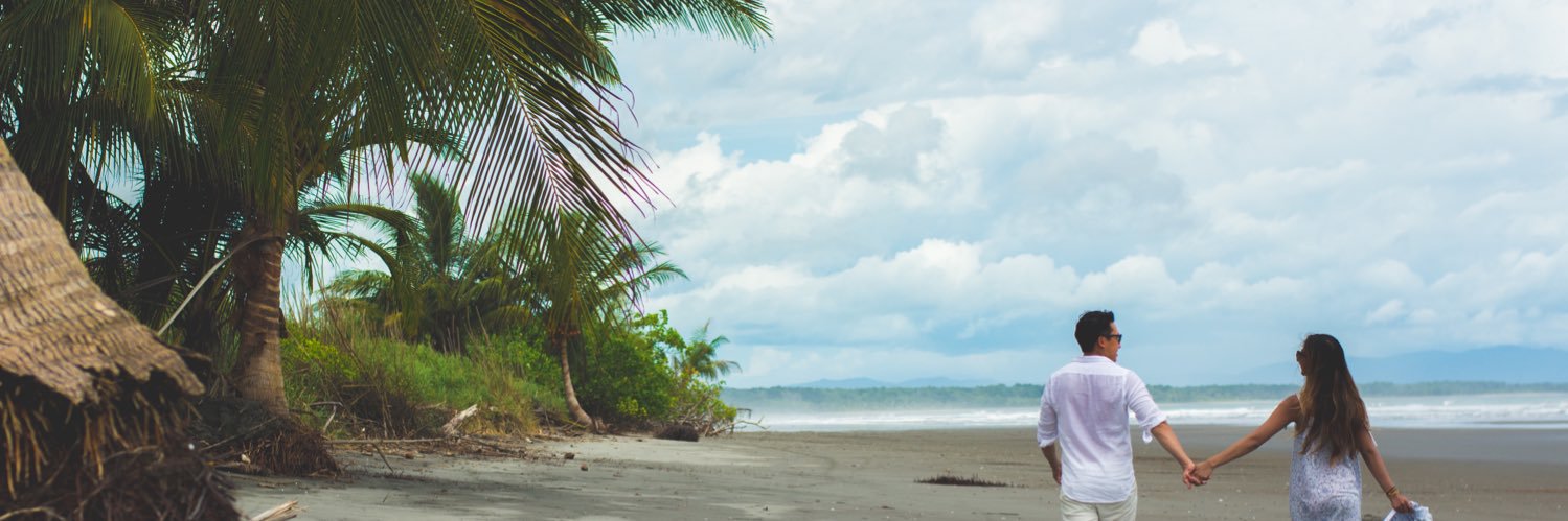 alohaaroha's profile banner image
