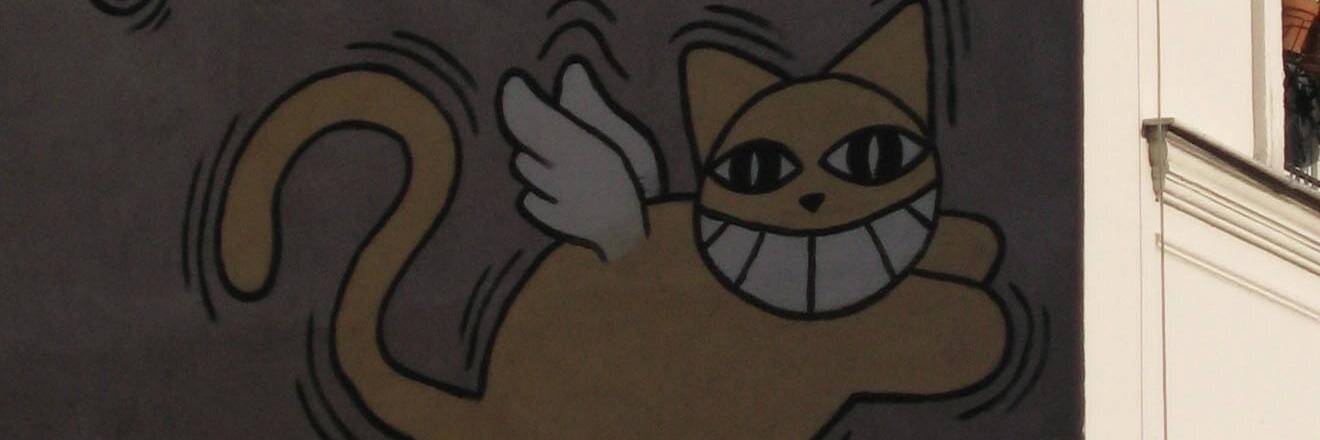 jencrate's profile banner image