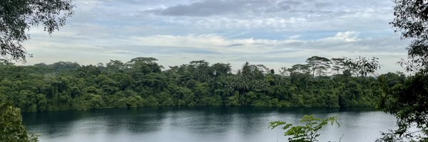 rainingcows Profile Banner