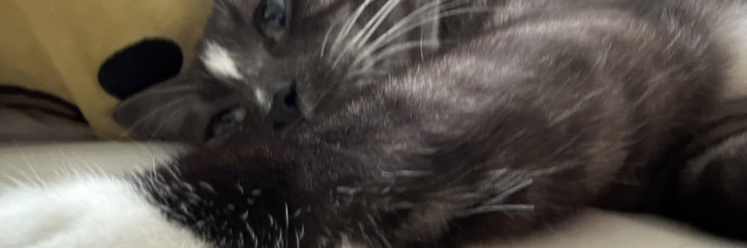 shushupthx's profile banner image