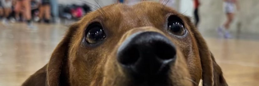 Canderuiz_4's profile banner image