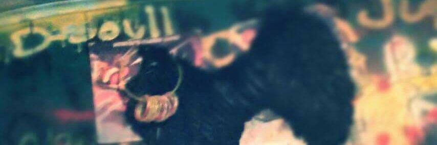 Ariston Lycothia's banner
