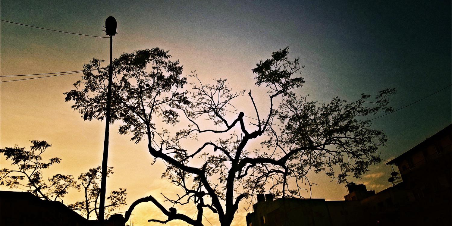 aniquahashmi's profile banner image