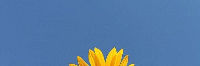 rainyy_1127's profile banner image