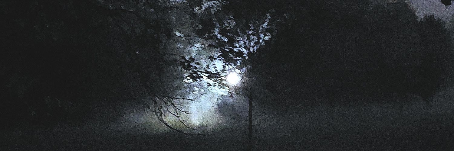 SOTasTRA's profile banner image