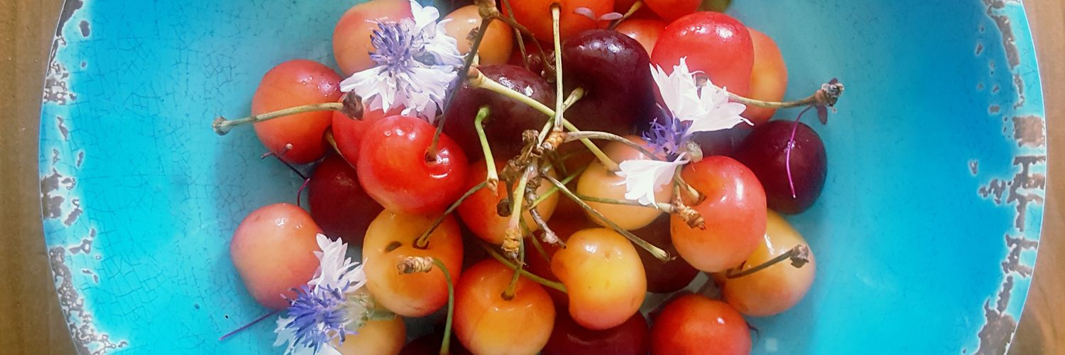 Diana E Barnett banner