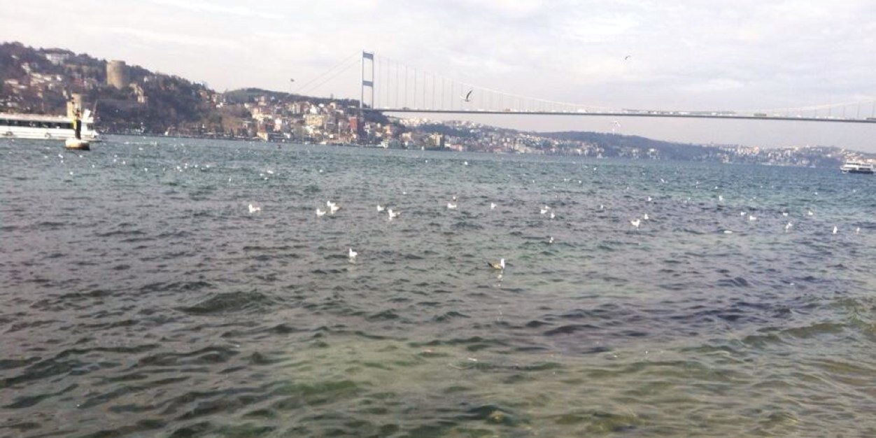 ErkanCeylan007's profile banner image